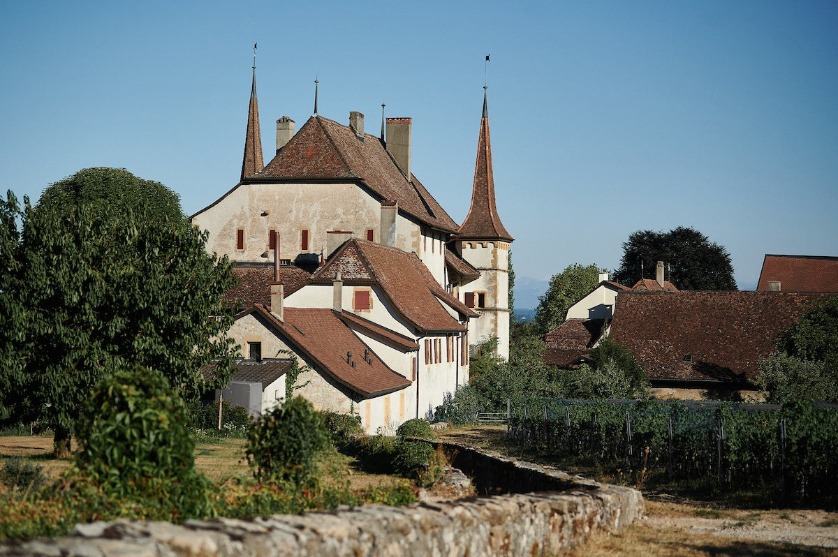 Caves du Château d'Auvernier