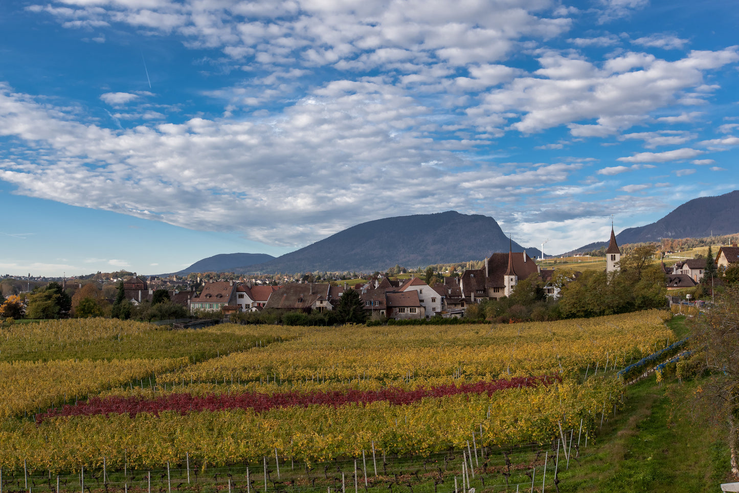 Domaine de Montmollin