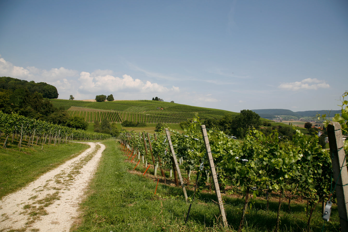 Weingut Waldmeier / Fasshotel