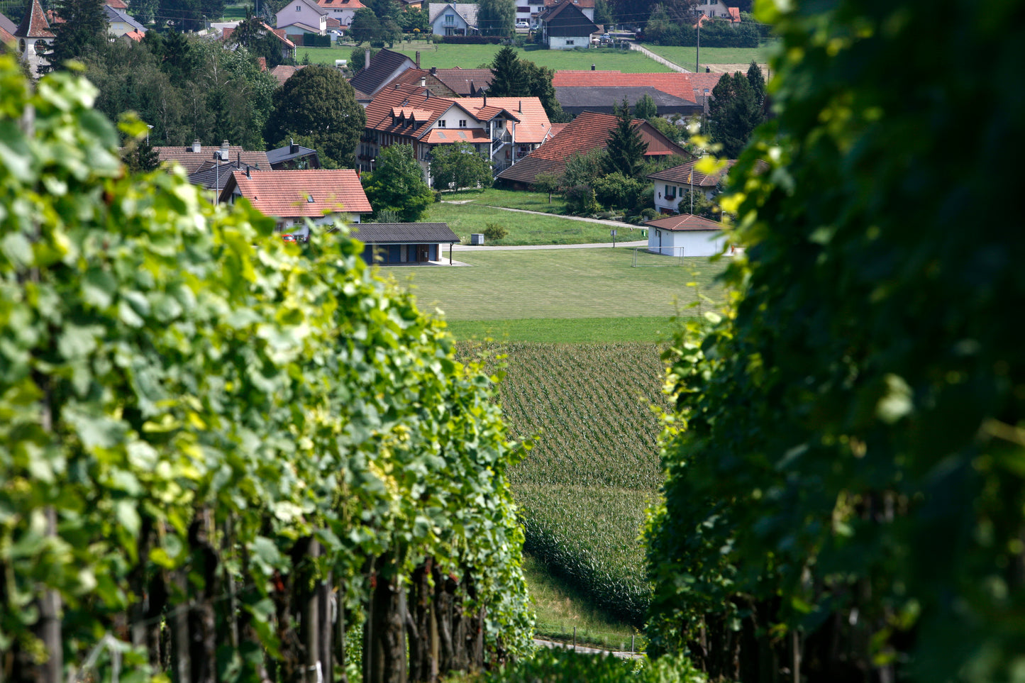 Weingut Waldmeier / Fasshotel