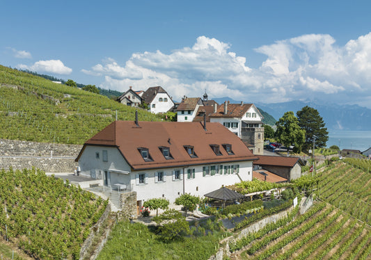 Domaine Saint-Amour