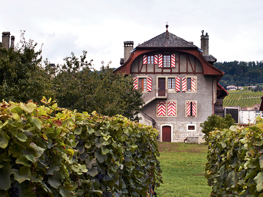 Abbaye de Mont - Ville de Lausanne