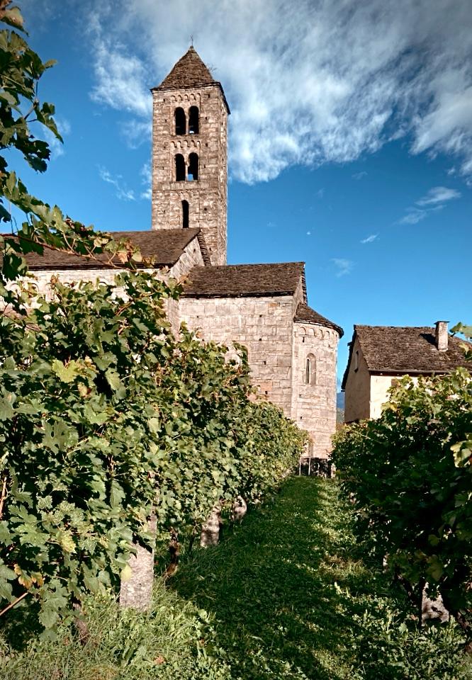 Cantina Settemaggio
