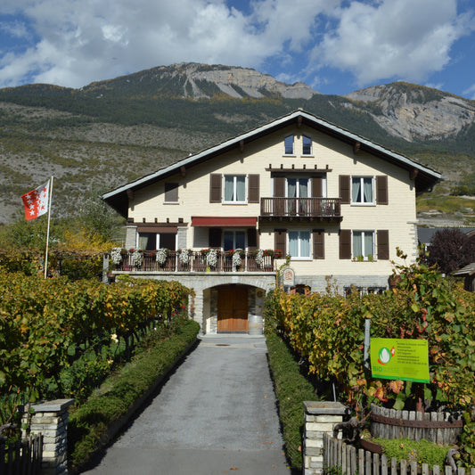 Weinschmiede  Reinhard & Christian SCHMID