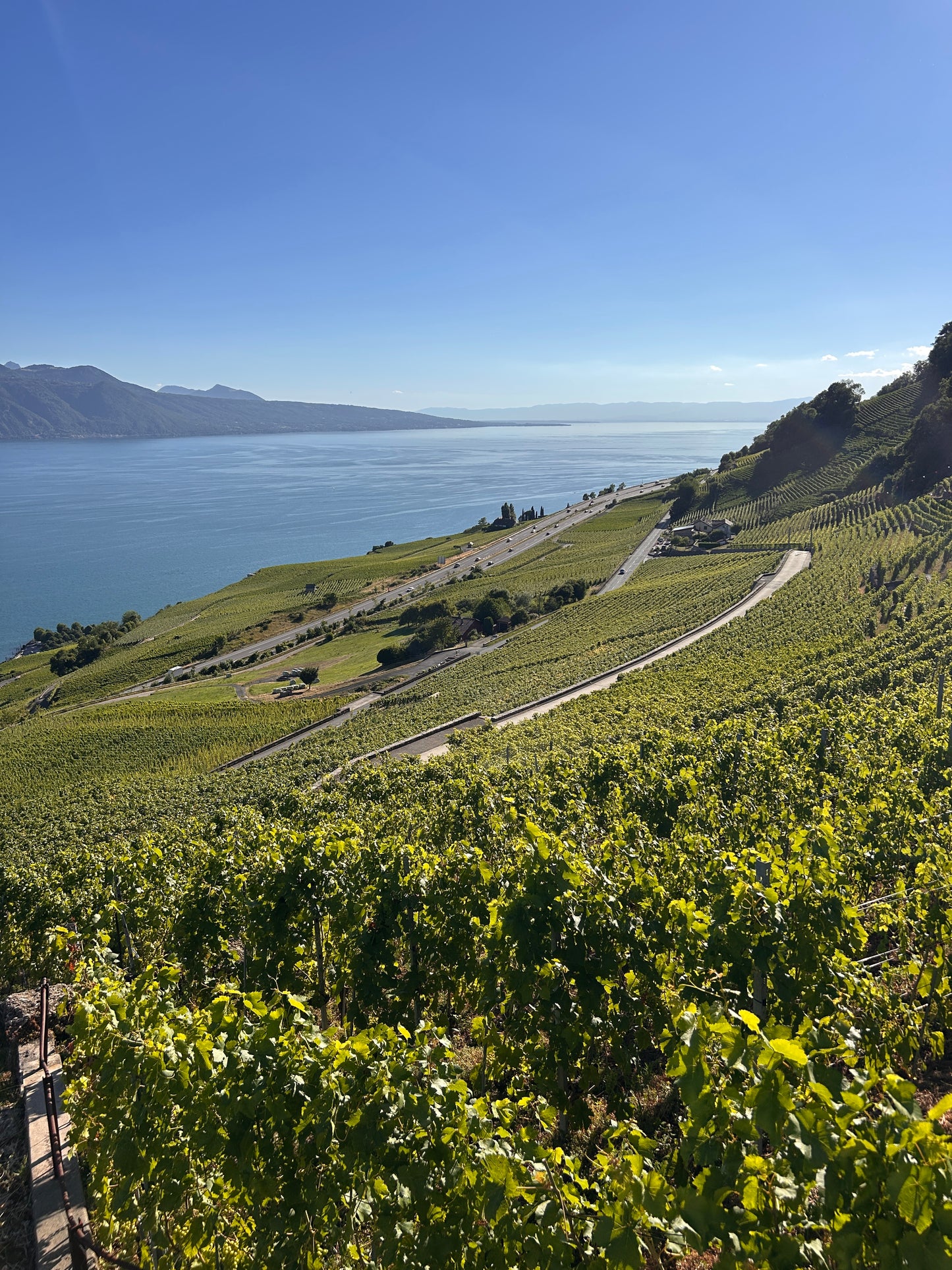 Domaine le Parrain