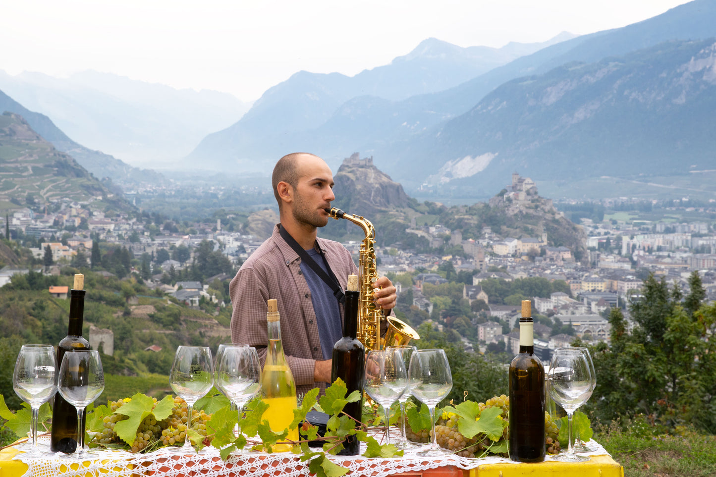 Domaine Candide Bridy