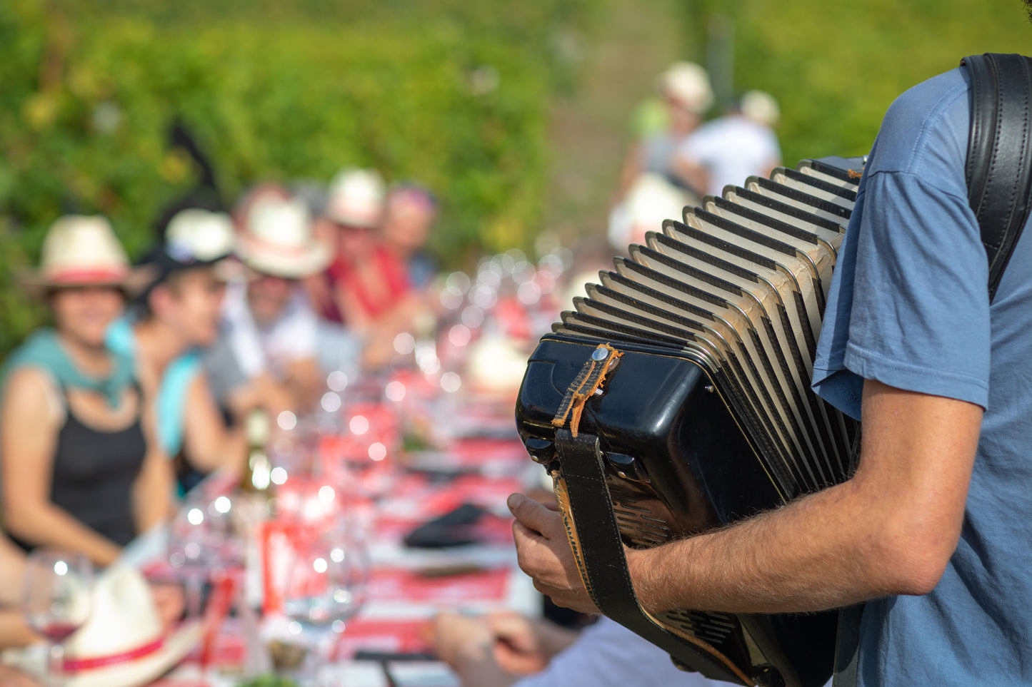 Domaine Candide Bridy