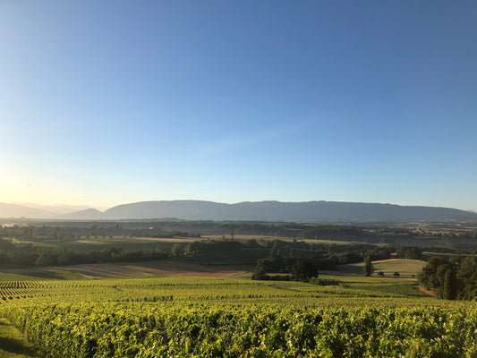 Domaine les Hutins